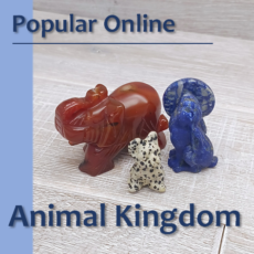 View Our Animal Kingdom Carvings