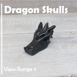 Dragon Skulls class=