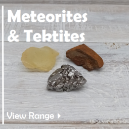 Meteorite & Tektites class=