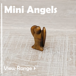 Mini Angels class=