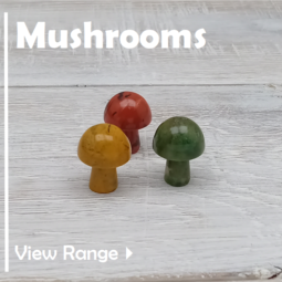 Mushrooms class=