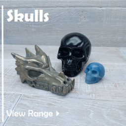 Skulls class=