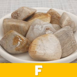 Tumblestones F class=