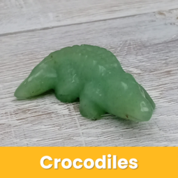 Crocodiles class=