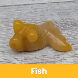 Fish class=