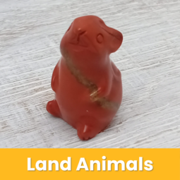 Land Animals class=