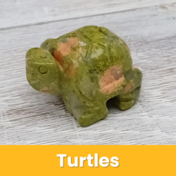 Turtles class=