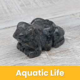 Aquatic Life class=