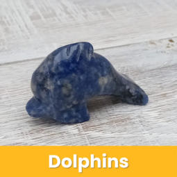Dolphins class=