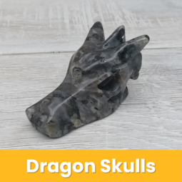 Dragon Skulls class=