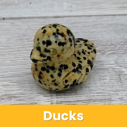 Ducks class=