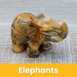 Elephants class=