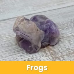 Frogs class=