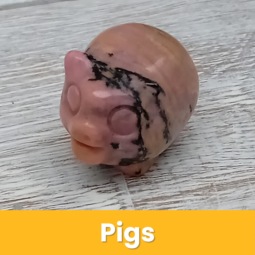Pigs class=