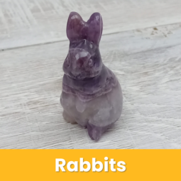 Rabbits class=