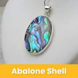 Abalone Shell class=