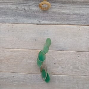 Green Agate Mini Wind Chimes