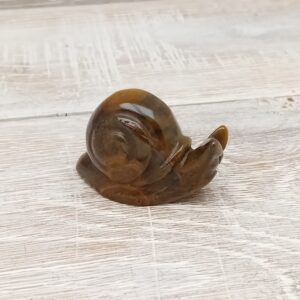 Tiger Eye Snail - 45mm